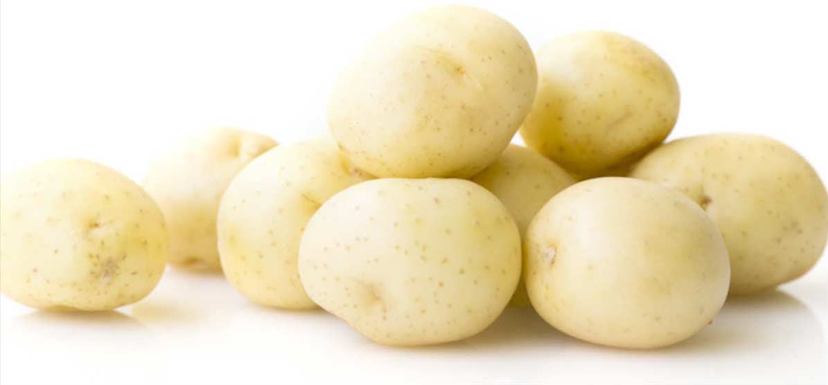 標(biāo)準(zhǔn)型馬鈴薯淀粉加工設(shè)備-馬鈴薯