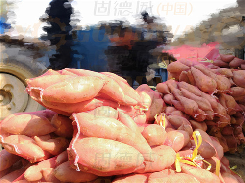 開紅薯淀粉廠，這幾點(diǎn)也很重要！生產(chǎn)資源、設(shè)備動(dòng)力供應(yīng)、土建與施工