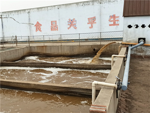 如何解決紅薯淀粉加工廢水的難題？清潔化生產(chǎn)還能提高整體利用率