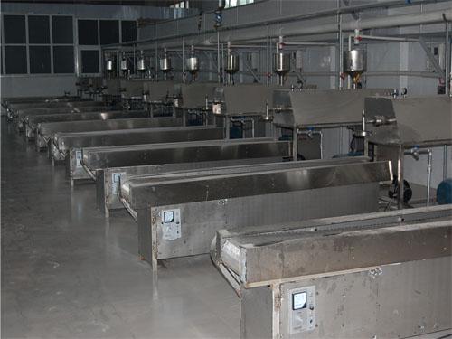 擠出式粉條機(jī)